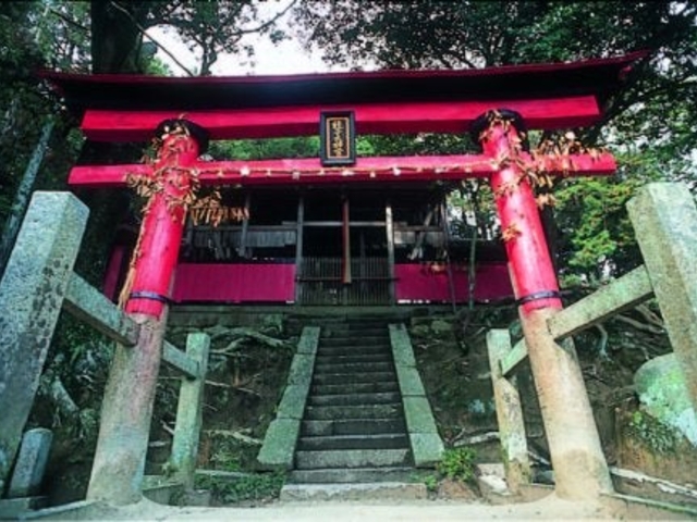 白山神社の写真1