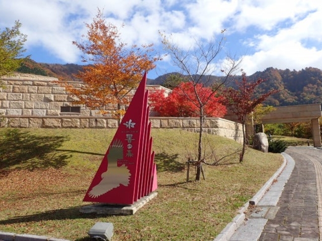 氷ノ山自然ふれあい館 響の森の写真1