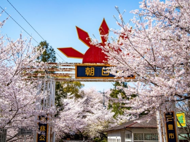 朝日山森林公園キャンプ場の写真1