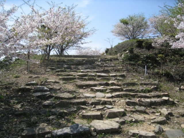 松山城跡の写真1