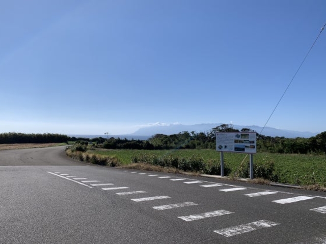 銭亀遺跡の写真1