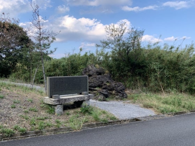田代化石の写真1