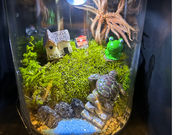 ソネングラス千の写真4