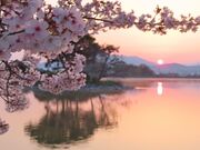 平池緑地公園の写真1