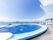 四国水族館の写真3