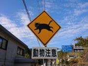 ペル猫注意の道路標識の写真1