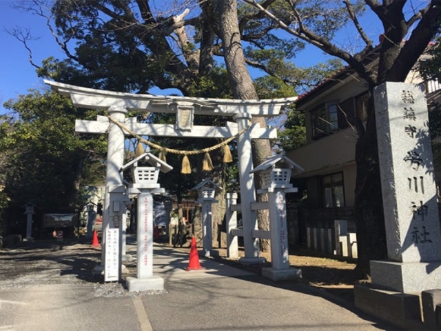 芳川神社の写真1