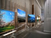 石巻市博物館の写真2