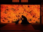 但東シルクロード観光協会の写真3