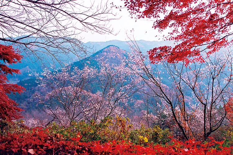 ��ʌ��_�쒬