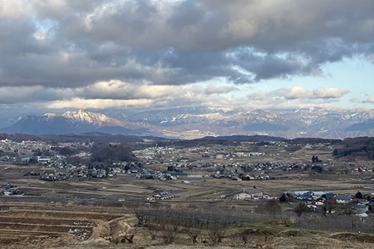 ���쌧�эj��