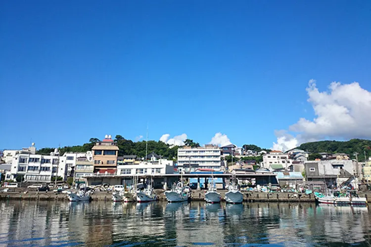 �É������ɓ���