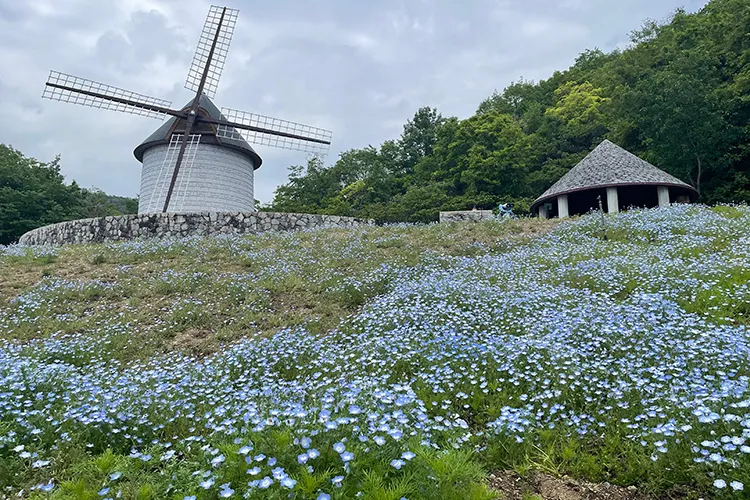 �������쒬