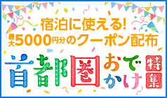 �����ȃN�[�|������������ʃv�������W