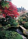 紅葉も見事な「木漏れ日の小径」