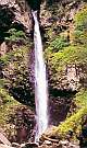 日本の滝百選にもなっている根尾の滝
