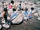 宿のすぐ前で川遊びも楽しいね