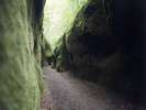 ◆苔の洞門：約30種類の苔が密生しています。