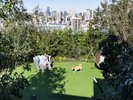 OMOドッグガーデン(屋外ドックラン):地上60mから都心を一望。