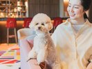 開放的なパブリックスペースも愛犬と常に一緒にお過ごしいただけます。※OMOカフェ&バル内は同伴不可