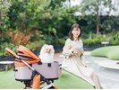 空中庭園:愛犬連れの方にはAIRBUGGYをお貸出ししています。