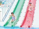 【浜名湖パルパル】夏季限定★パルプール
