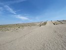 【中田島砂丘】日本三大砂丘の一つ。広大な砂浜が広がりウミガメの産卵地としても知られています。