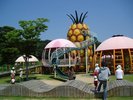 【はままつフルーツパーク時之栖】年間約15種類の果物が収穫できる農業公園です。