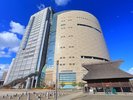 【当館から徒歩で5分】大阪歴史博物館