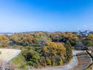 ガーデンビューシングル 景色