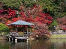周辺観光 三景園