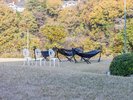 アチェロ外 ハンモック