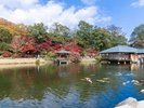 周辺観光 三景園