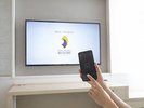 ミラーリング機能付きテレビ(49インチ)HDMI差込口あり