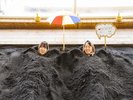 唯一の体験がここにあります