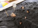 砂むし温泉でココロもカラダもすっきり