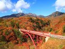 秋の紅葉絶景スポット 赤い橋