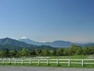 夏の清里!牧草地から見る富士山がまたキレイ!
