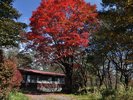 秋のコテージは窓から眺める紅葉も素敵です♪