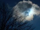 静寂に包まれる清里の森