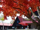 秋の清泉寮本館