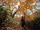 秋の野外散策イメージ