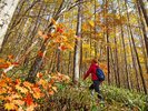 秋の野外散策イメージ