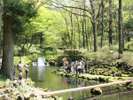 富士養鱒漁業協同組合直営 にじます釣り場