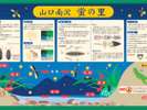 南沢ホタルのせせらぎ広場