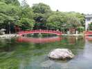 湧玉池