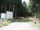 ハイキング・毛無山・地蔵峠コース