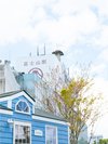 施設の隣の富士山駅の駅舎