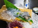 新鮮なイカの活き造り