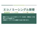 エコノミーシングル(禁煙)